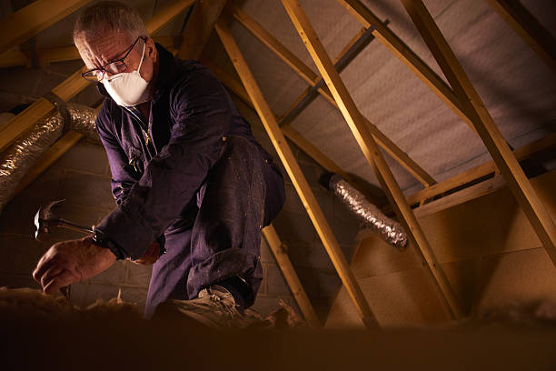 Types of Insulation We Offer in Lake Heritage, PA